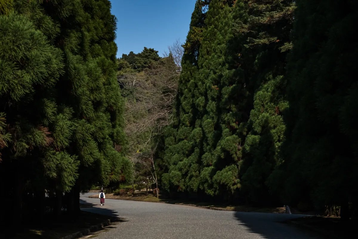 🌳 무사시 능묘지 (쇼와 천황릉) 이미지 4